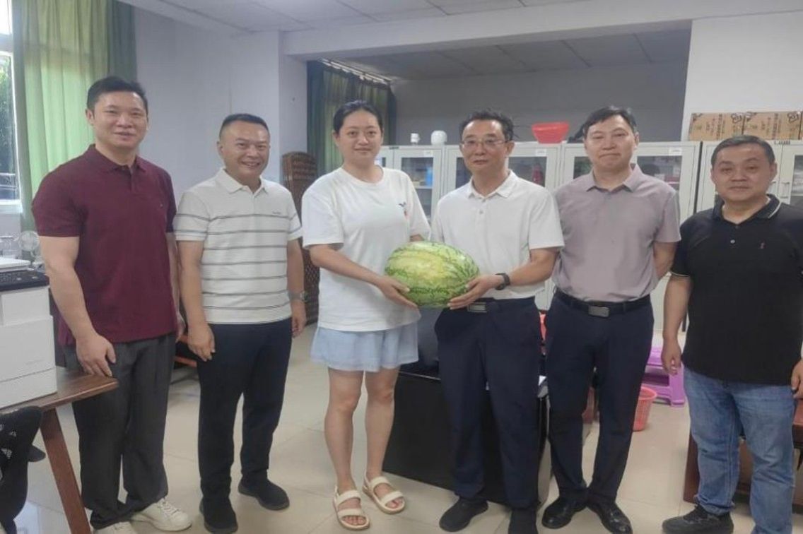 雷火体育app官网入口